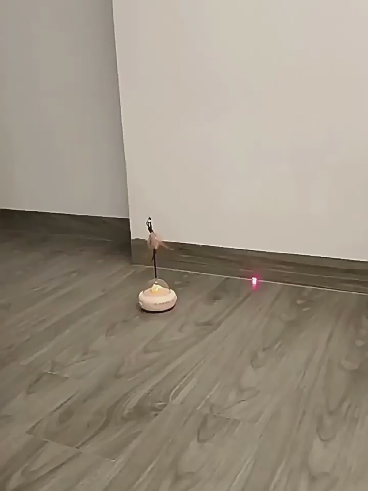 Charger la vidéo : 